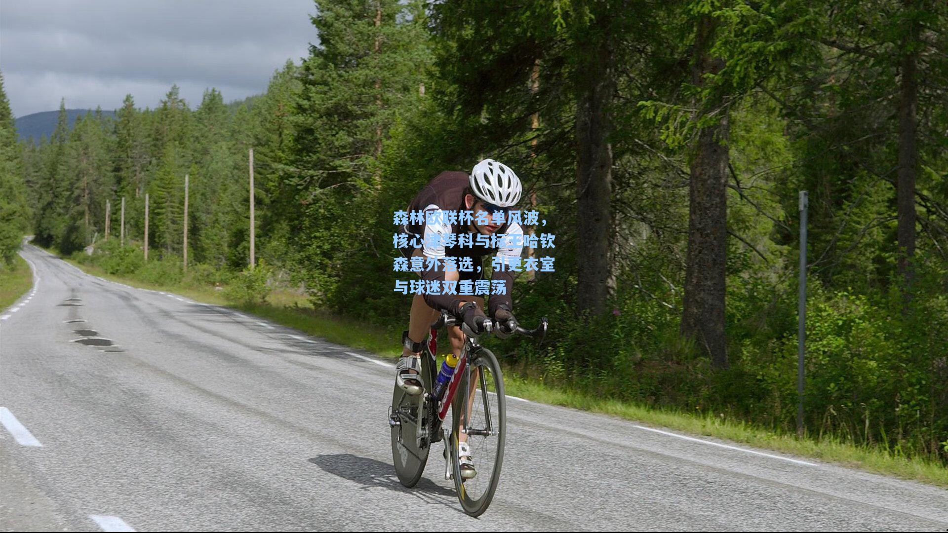 森林欧联杯名单风波,核心津琴科与标王哈钦森意外落选,引更衣室与球迷双重震荡