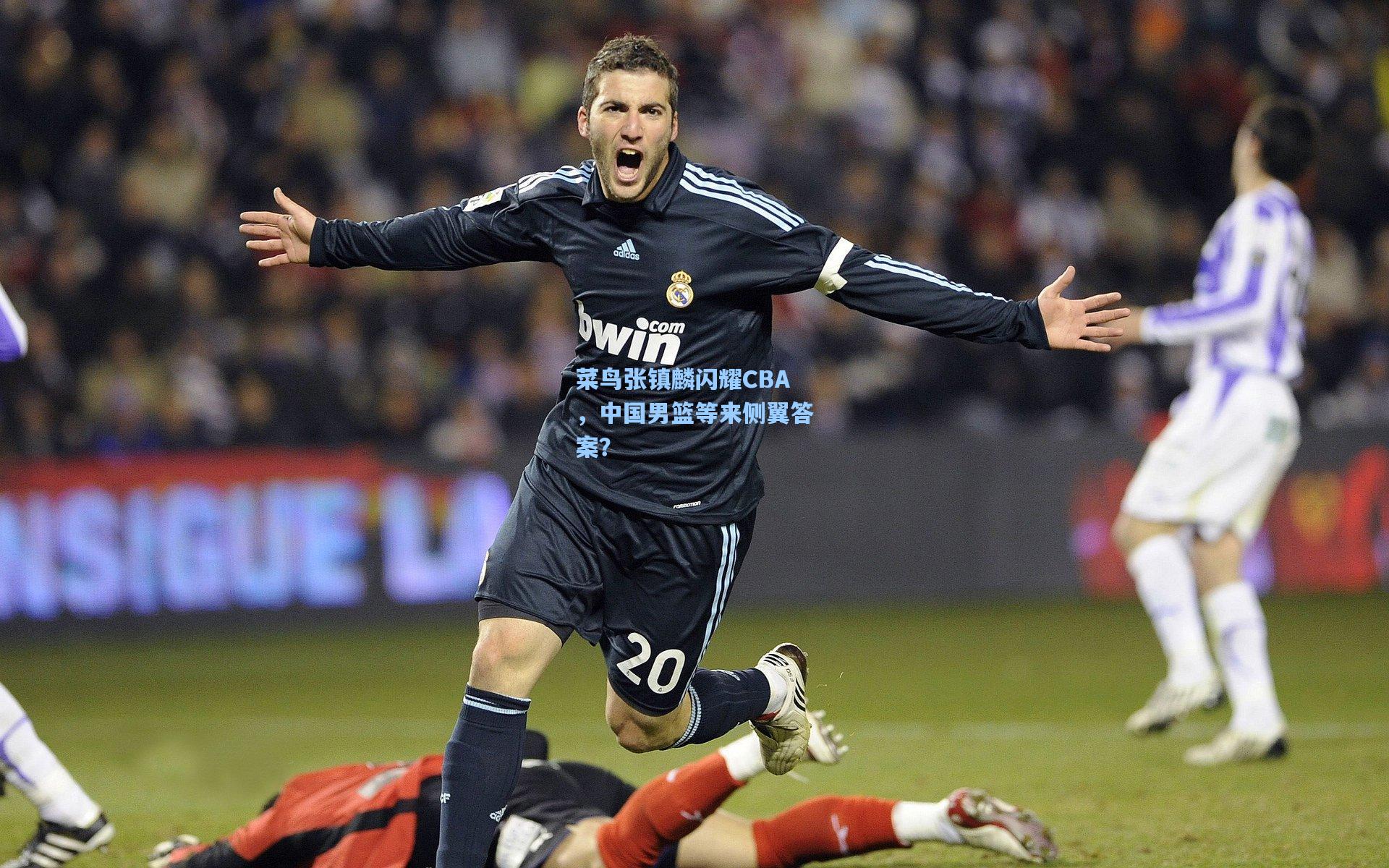 菜鸟张镇麟闪耀CBA，中国男篮等来侧翼答案？
